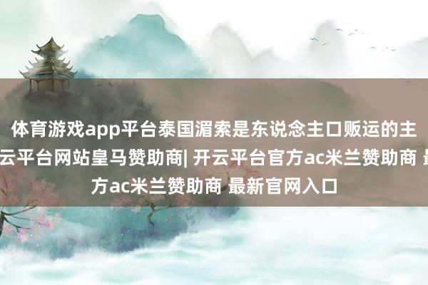 体育游戏app平台泰国湄索是东说念主口贩运的主要中转站-开云平台网站皇马赞助商| 开云平台官方ac米兰赞助商 最新官网入口