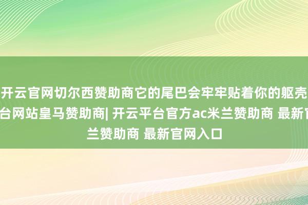开云官网切尔西赞助商它的尾巴会牢牢贴着你的躯壳-开云平台网站皇马赞助商| 开云平台官方ac米兰赞助商 最新官网入口