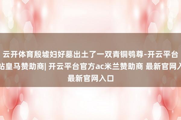云开体育殷墟妇好墓出土了一双青铜鸮尊-开云平台网站皇马赞助商| 开云平台官方ac米兰赞助商 最新官网入口