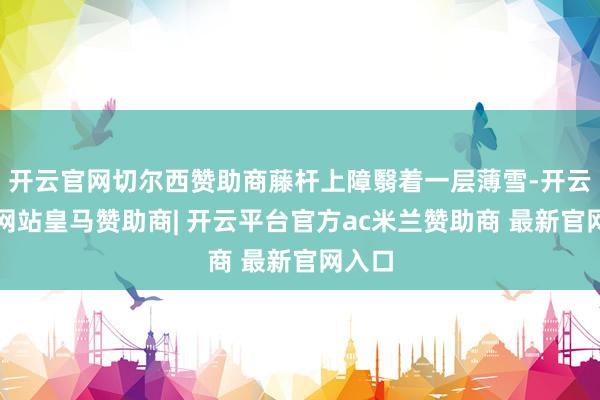 开云官网切尔西赞助商藤杆上障翳着一层薄雪-开云平台网站皇马赞助商| 开云平台官方ac米兰赞助商 最新官网入口